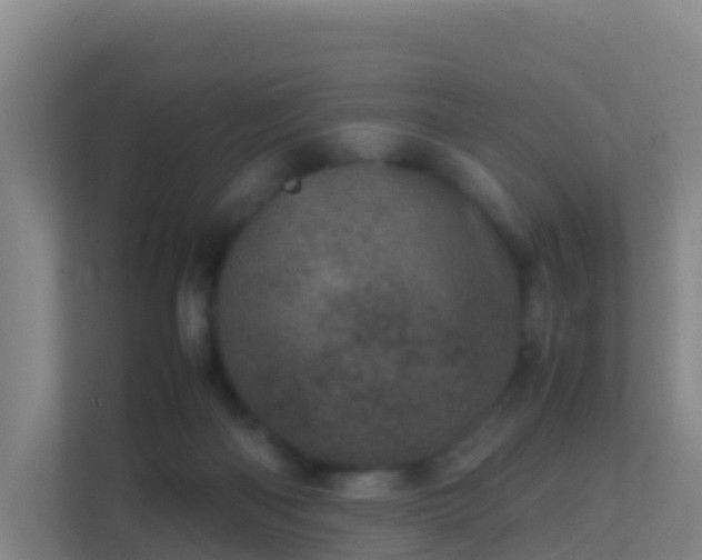 X0000111660122200907241159