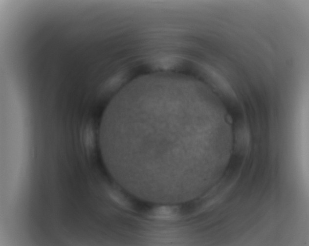 X0000111660126200907241159