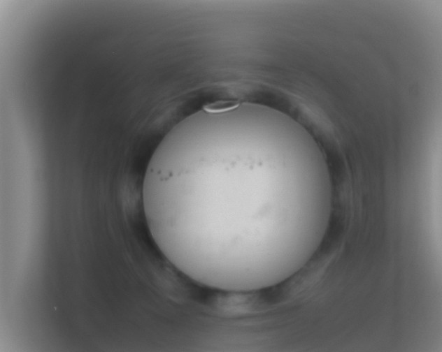 X0000111660129200907241159