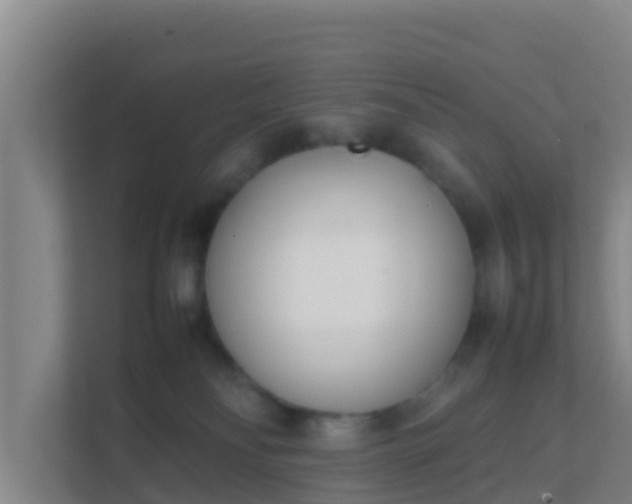 X0000111660134200907241159