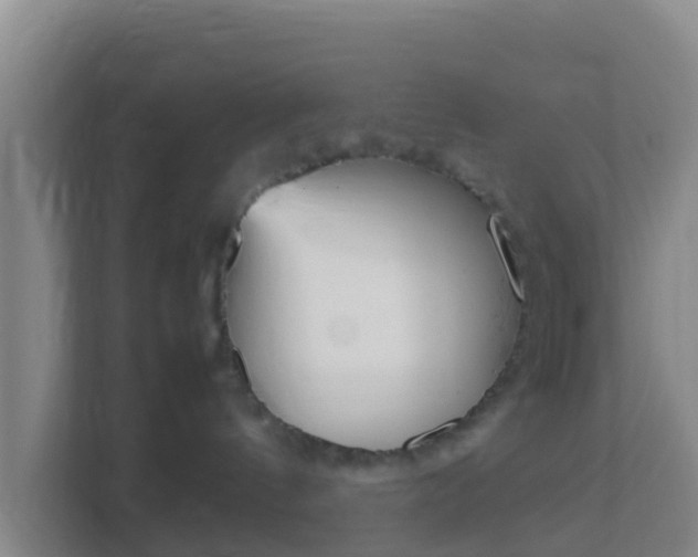 X0000111660144200907241159