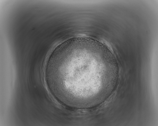X0000111660145200907241158