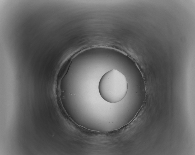 X0000111660146200907241158