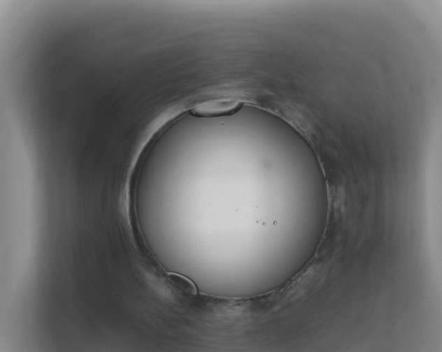 X0000111660148200907241158