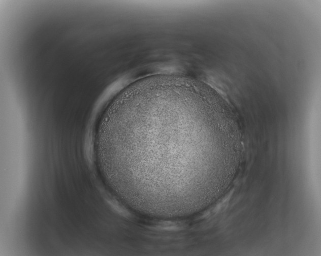 X0000111660149200907241158