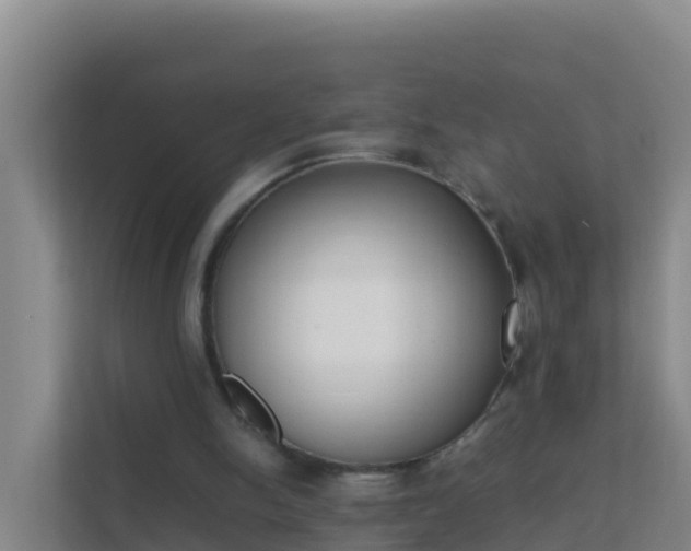X0000111660150200907241158
