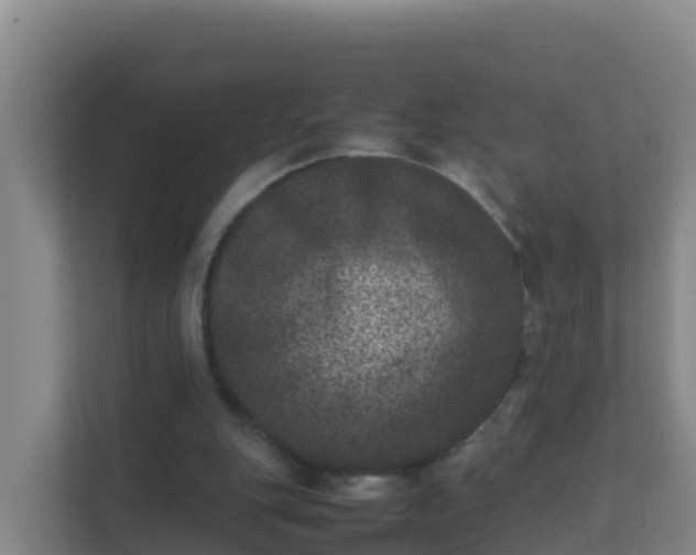 X0000111660151200907241158