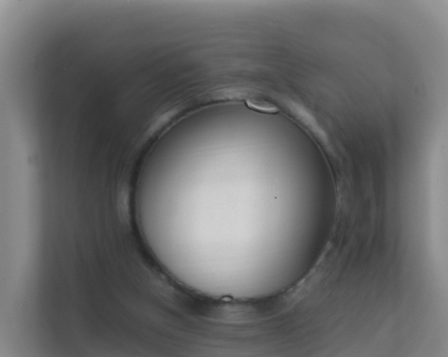 X0000111660154200907241158