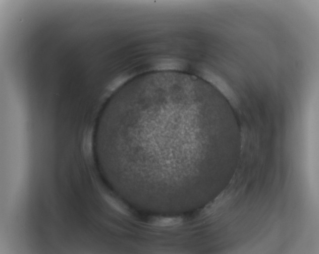 X0000111660155200907241158