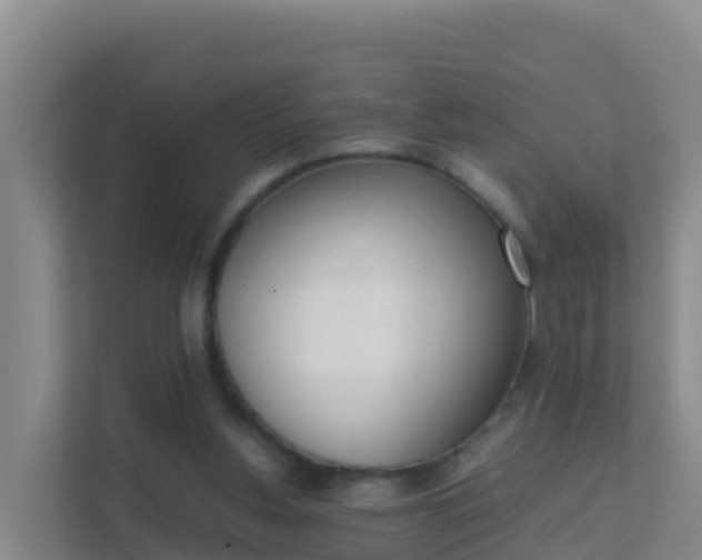 X0000111660156200907241159