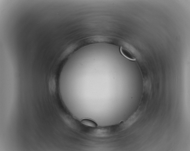 X0000111660158200907241159