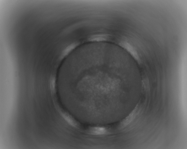 X0000111660159200907241159