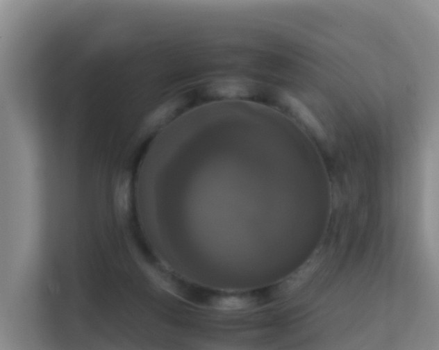 X0000111660163200907241159