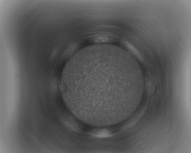 X0000111660169200907241159