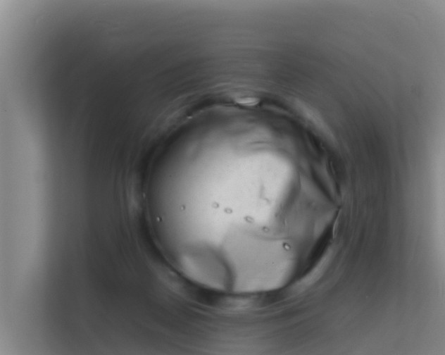 X0000111660170200907241159