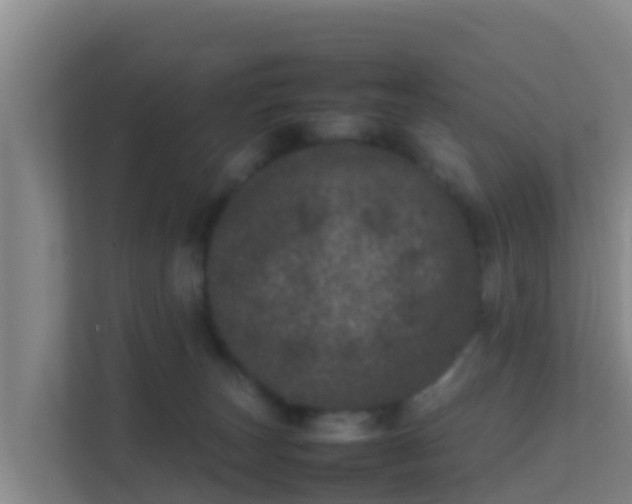 X0000111660179200907241159