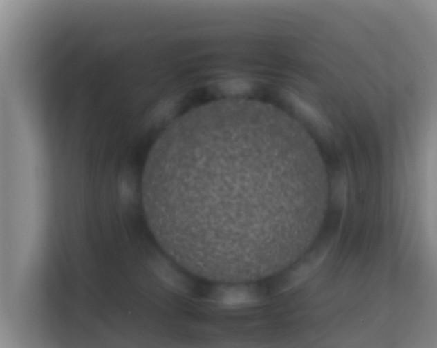 X0000111660181200907241159