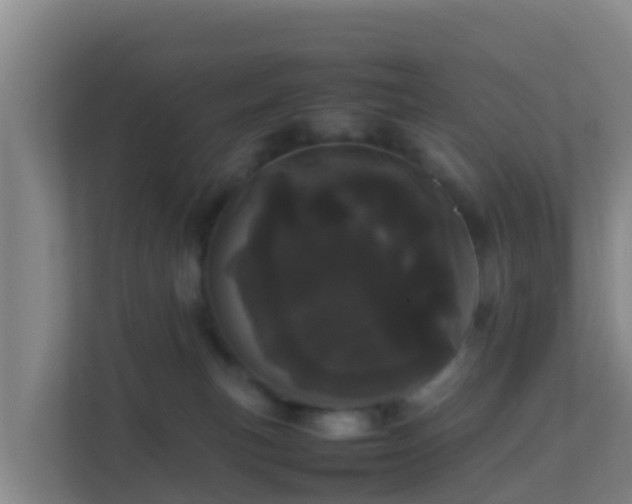 X0000111660183200907241159