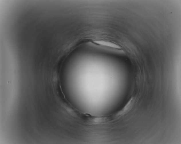 X0000111660184200907241159