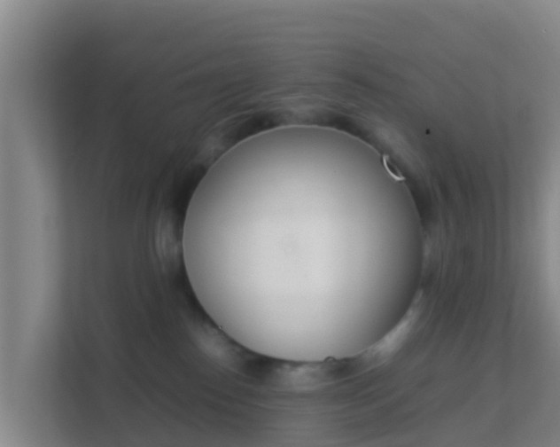 X0000111660186200907241159