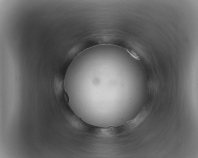 X0000111660188200907241159