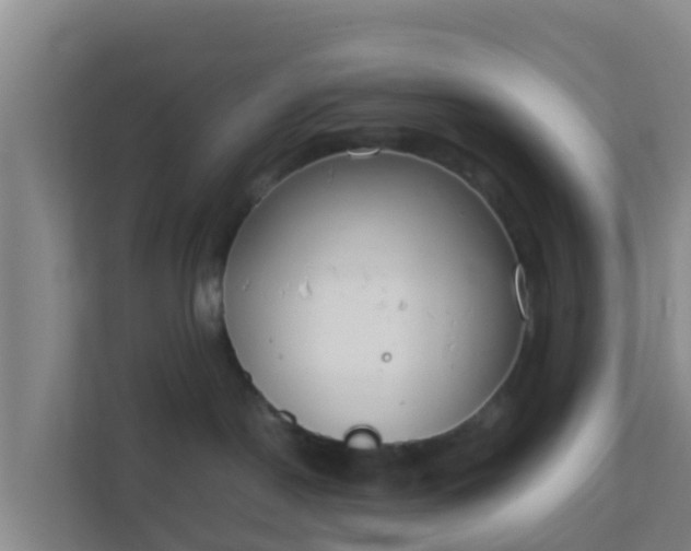 X0000111660190200907241159