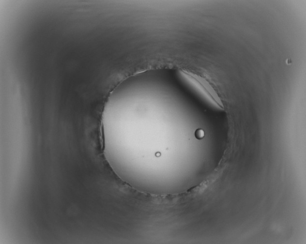 X0000111660192200907241159