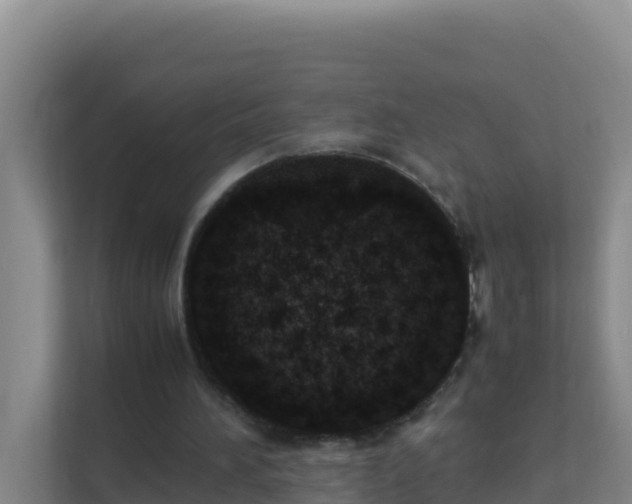X0000111660196200907241158