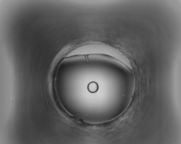X0000111660197200907241158