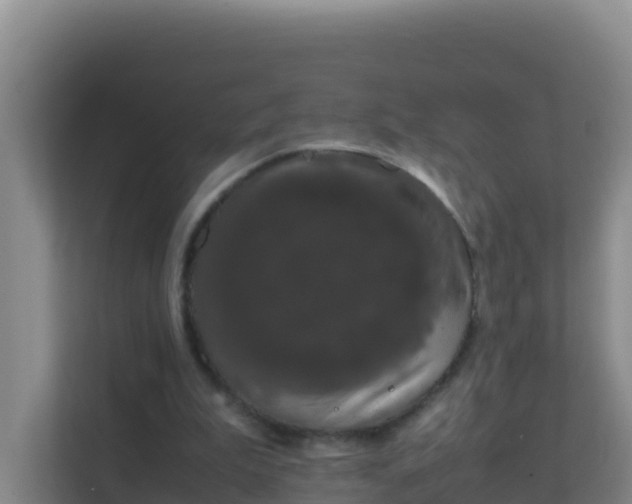 X0000111660199200907241158