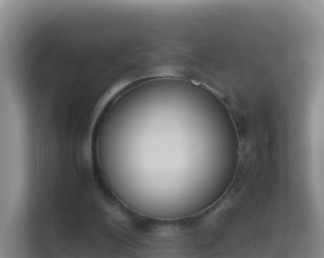 X0000111660200200907241158