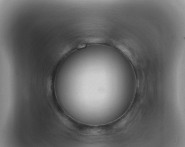 X0000111660201200907241158