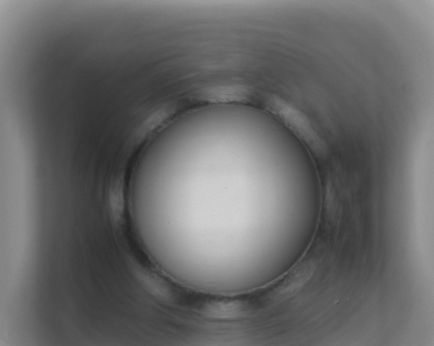 X0000111660202200907241158