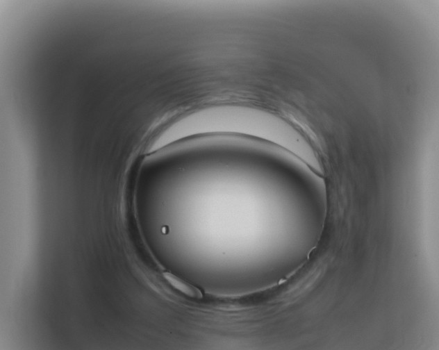 X0000111660203200907241158
