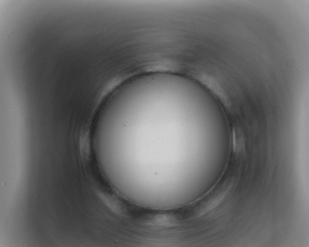 X0000111660204200907241158