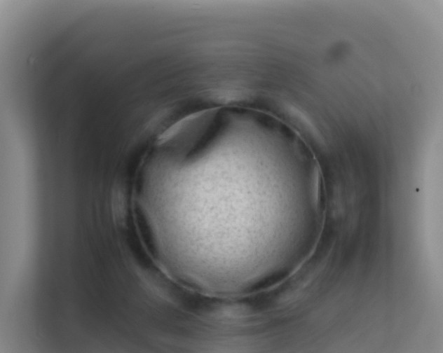 X0000111660210200907241158