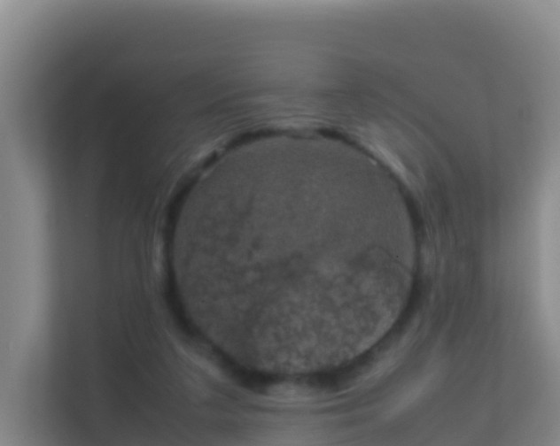 X0000111660211200907241158