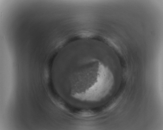 X0000111660215200907241158