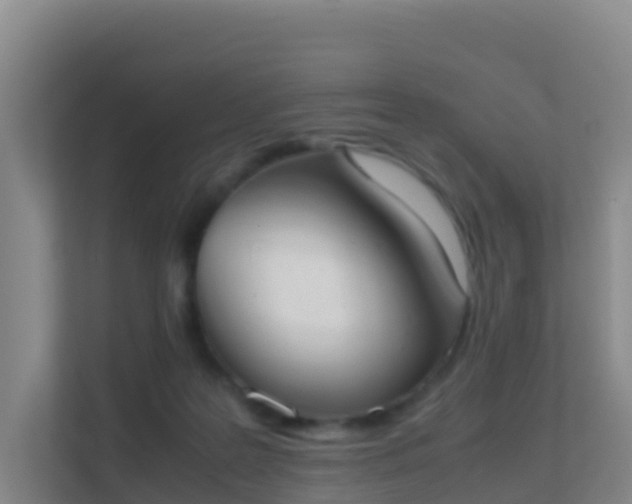 X0000111660219200907241158