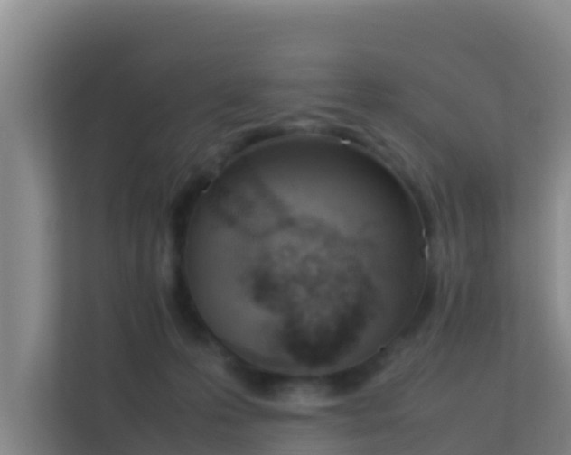 X0000111660223200907241158