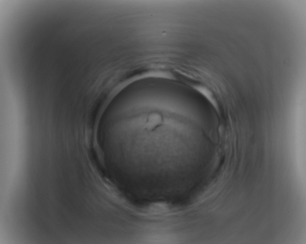 X0000111660227200907241158