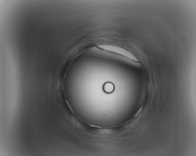 X0000111660233200907241158