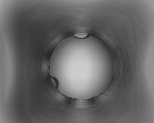 X0000111660240200907241158