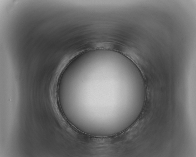 X0000111660241200907241157