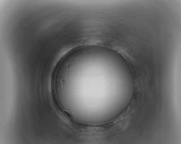 X0000111660242200907241157