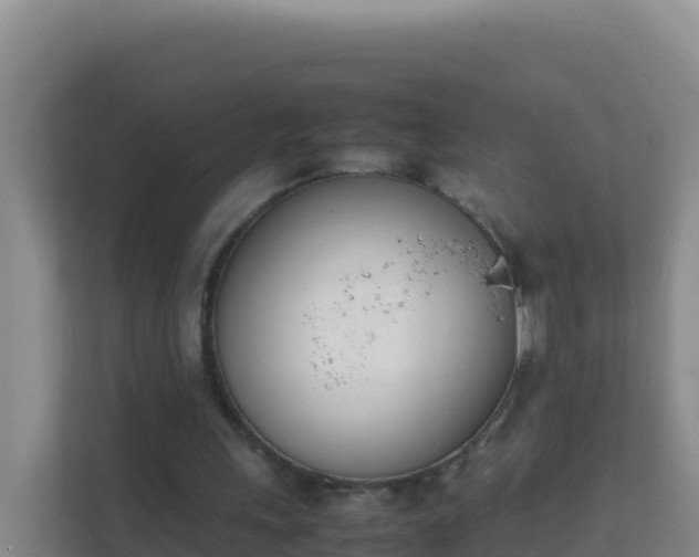 X0000111660243200907241157