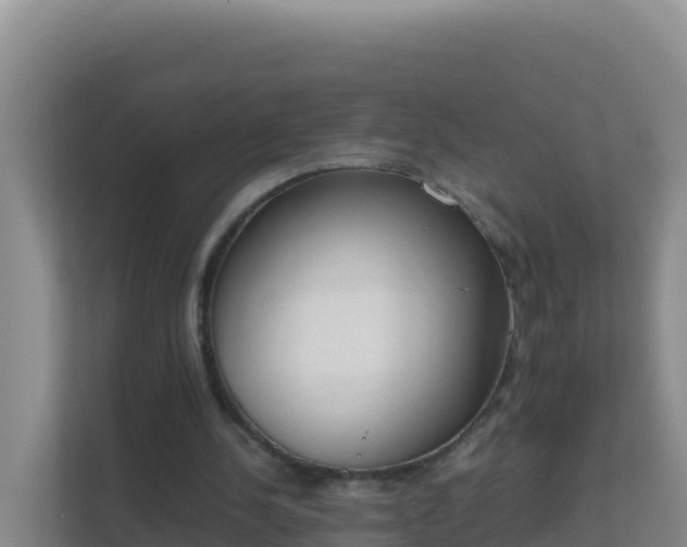 X0000111660244200907241157
