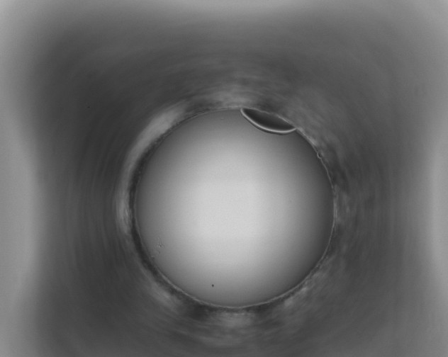 X0000111660245200907241157