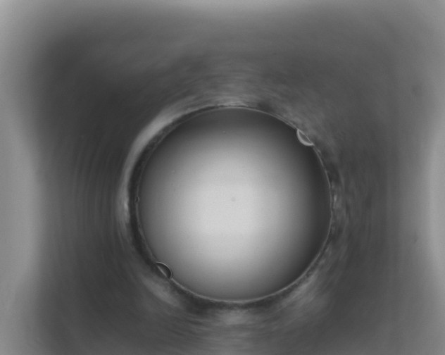 X0000111660246200907241157