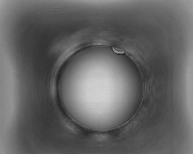 X0000111660247200907241157